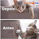 Protetor Anti Arranhões de  Gatos Para Sofá, Adesivo PawProtector Film (PROMOÇÃO)