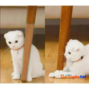 Protetor Anti Arranhões de  Gatos Para Sofá, Adesivo PawProtector Film (PROMOÇÃO)