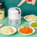 Mini Processador Triturador Sem Fio Elétrico 250ML De Alimentos Para Legumes Alho Gengibre - Realeza Prime