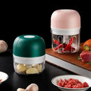 Mini Processador Triturador Sem Fio Elétrico 250ML De Alimentos Para Legumes Alho Gengibre - Realeza Prime