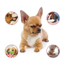 Spray Oral Eliminador de Tártaro e Mau Hálito Pet - Realeza Prime